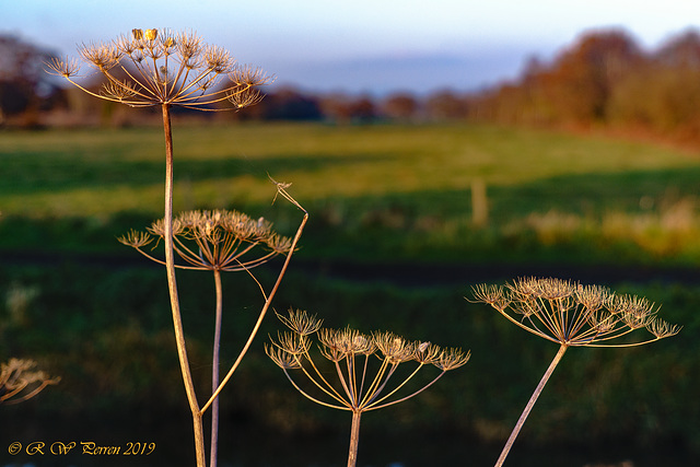 In Winter Sun