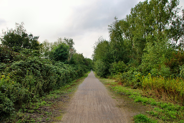 Ehemalige Trasse der Hugo-Bahn (Gelsenkirchen-Beckhausen) / 18.08.2019