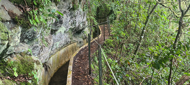 Levada do Furado - Ribeiro Frio - Portela