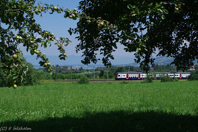 BÖ0022784