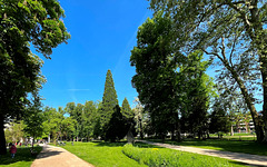 Frühling im Kurpark