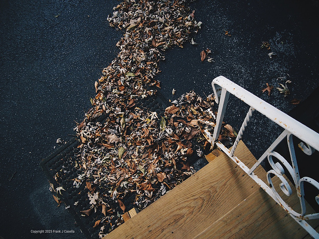 Autumn Leaves and Stairs