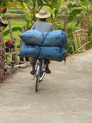 Local transport - Vietnam style