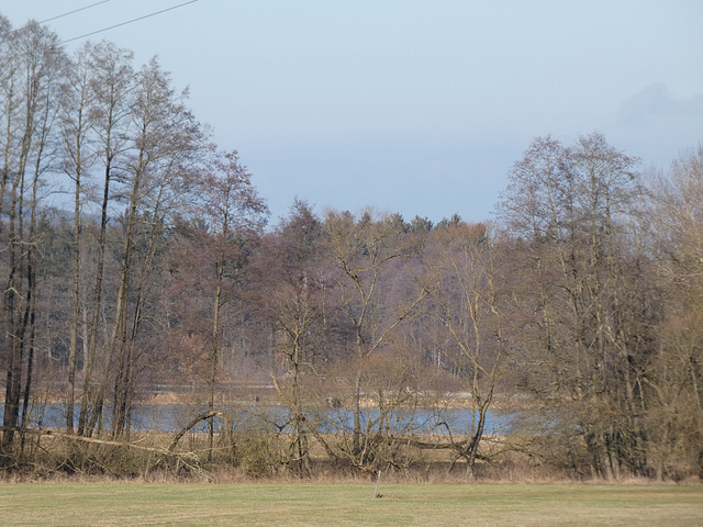 Blick zu den Eselweihern