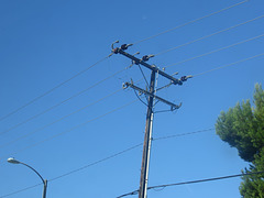 Southern California Edison