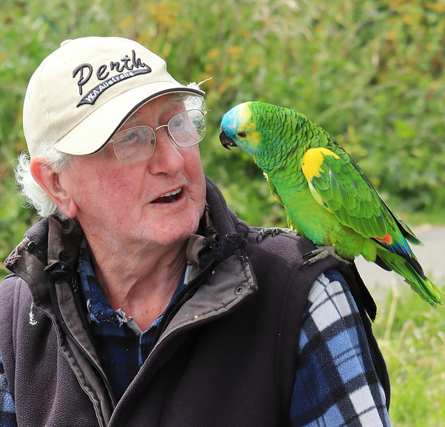 EOS 90D Peter Harriman 14 13 26 32704 parrot dpp