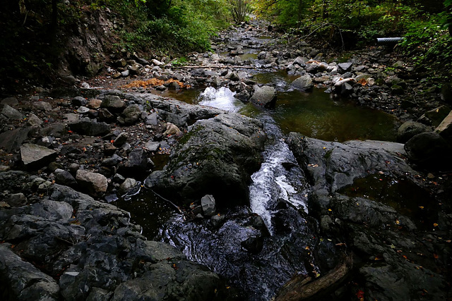 Automne 2016 Oka Québec 4 / 6