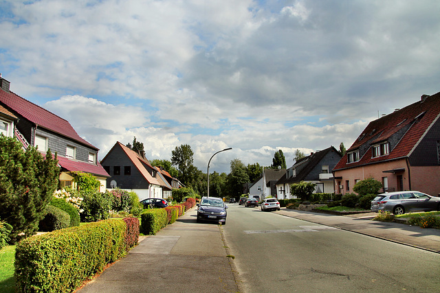 Am Sturmwald (Dortmund-Menglinghausen) / 20.08.2021