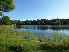 Lake Artemesia