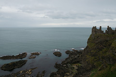 View From Dunluce Castle