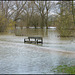 flooded park bench