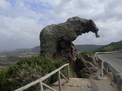 P1250224