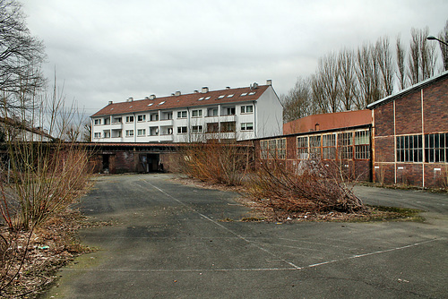Verwilderter Parkplatz (Zwiebackfabrik Brandt, Hagen-Westerbauer) / 26.02.2017