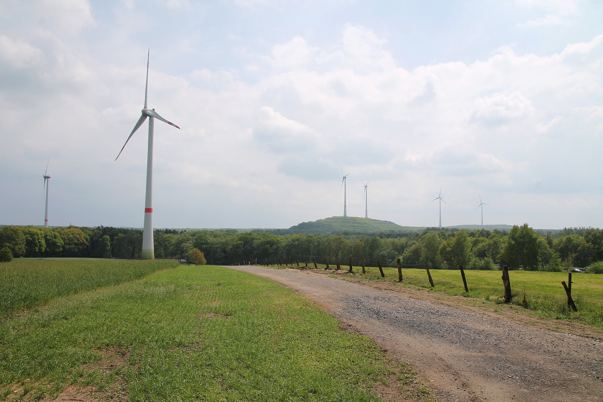 NSG Bruckhauser Mühlenbach, Blick Richtung Lohberg (Hünxe) / 11.05.2019