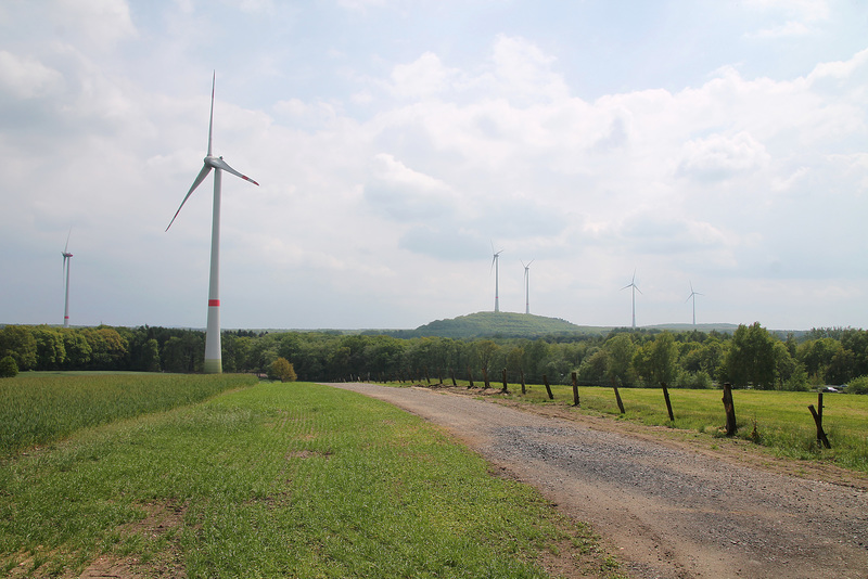 NSG Bruckhauser Mühlenbach, Blick Richtung Lohberg (Hünxe) / 11.05.2019
