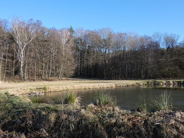 Weiher am Rappenbügler Besinnungsweg