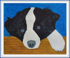 Dog on blue