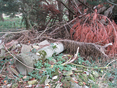 Les colonnes de Bouillé