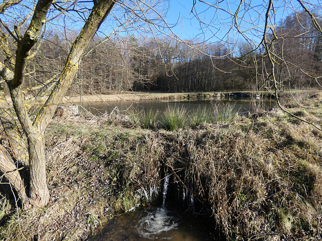 Weiher am Rappenbügler Besinnungsweg