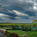 Storm Brewing!