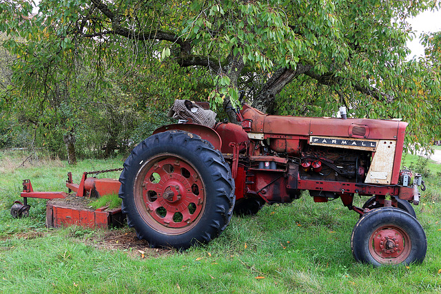 Tracteur Farmall 806 des années 65 , et toujours opérationnel  .