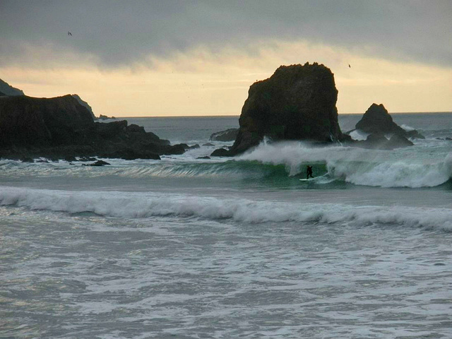 Rockaway Beach surfer