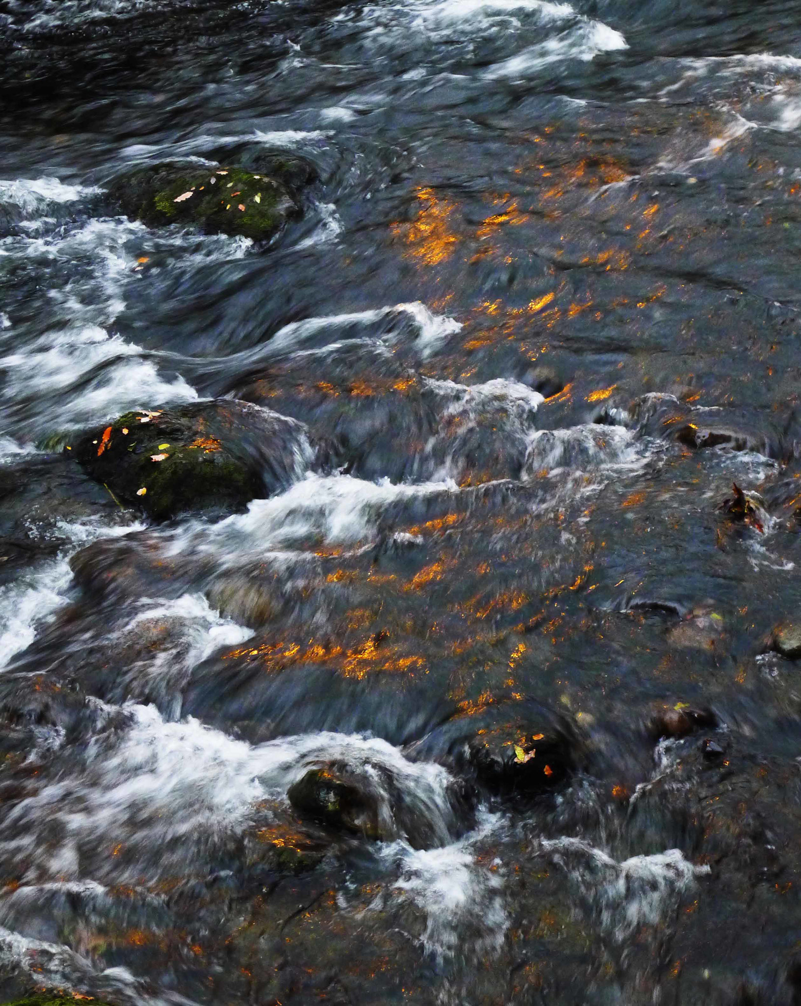 Ogwen river