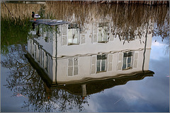 Paris : Parc de Bercy, janvier2010