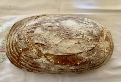 Sourdough, proved for 48 hours in the fridge