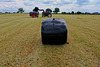 Bales in the fields