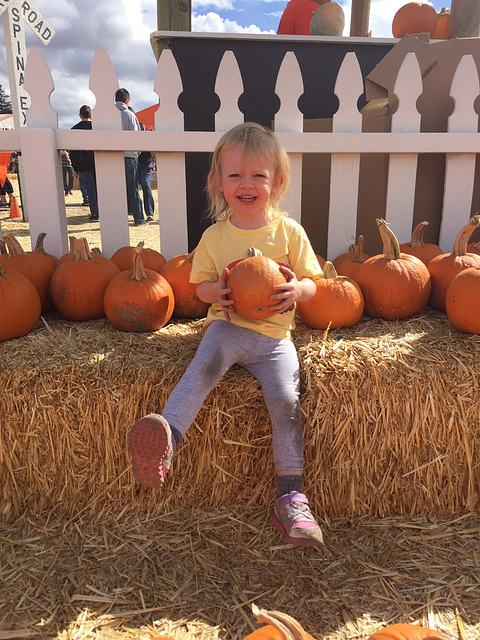 Happy Pumpkin