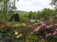 Lea Garden