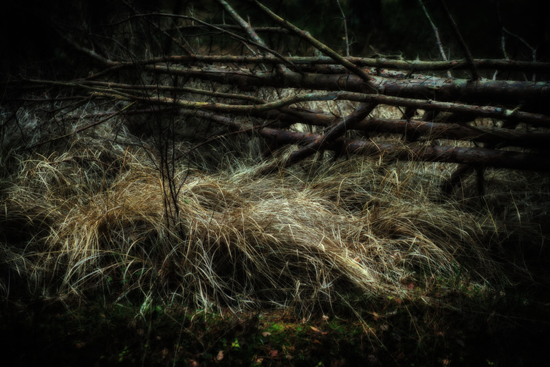 In the Darkness