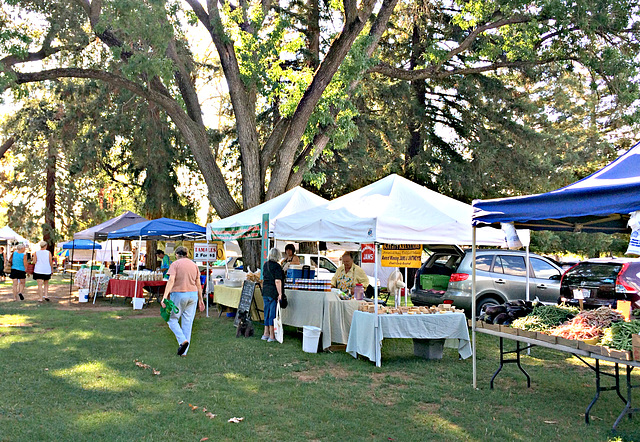 Farmer's Market