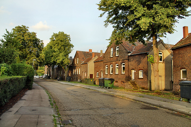 Sutumerfeldstraße (Gelsenkirchen-Beckhausen) / 18.08.2019