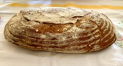 Sourdough, proved for 48 hours in the fridge
