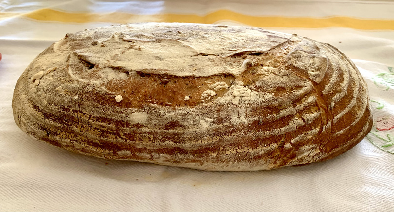Sourdough, proved for 48 hours in the fridge
