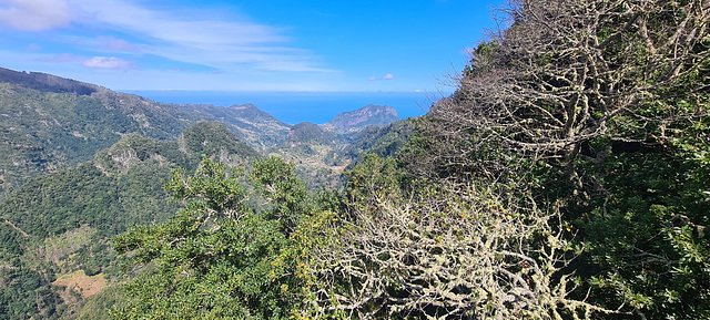 Levada dos Balcões