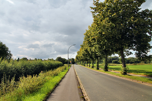 Gustav-Korthen-Allee (Dortmund-Menglinghausen) / 20.08.2021