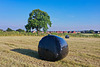 Bales in the fields