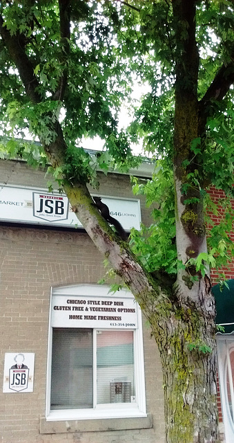 JSB tree
