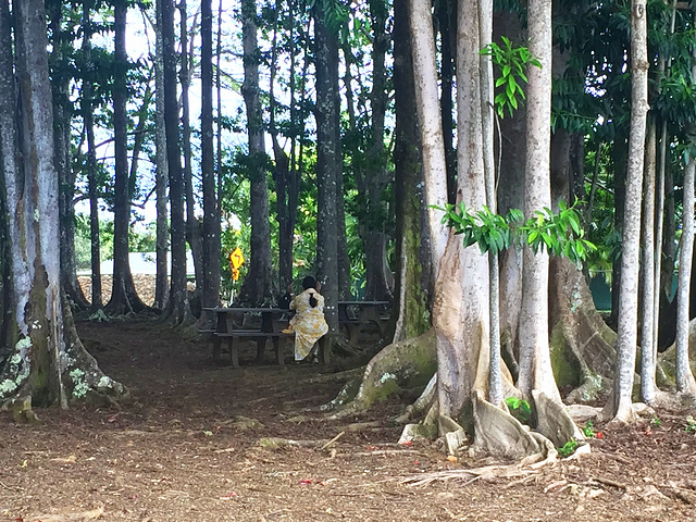 Contemplation in the Rudraksha Forest