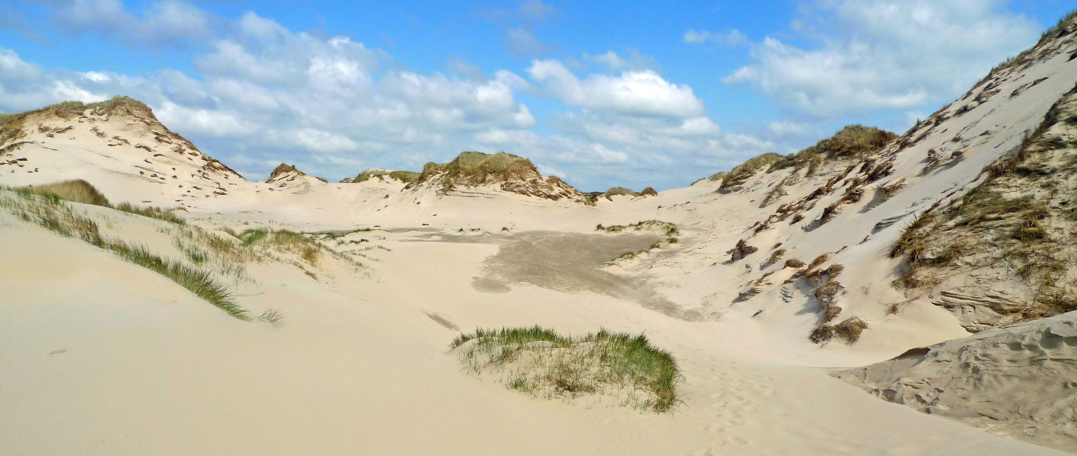 Nederland - Egmond aan Zee, Wimmenummerduinen