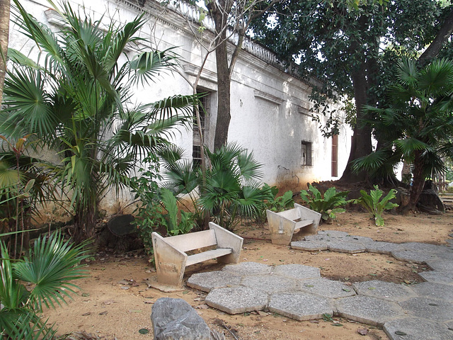 Deux bancs parmi la végétation / Two benches amongst vegetation