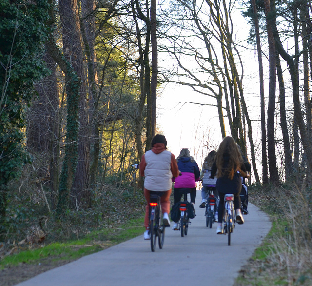 driving trough the heath