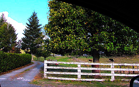 Farm Entrance.