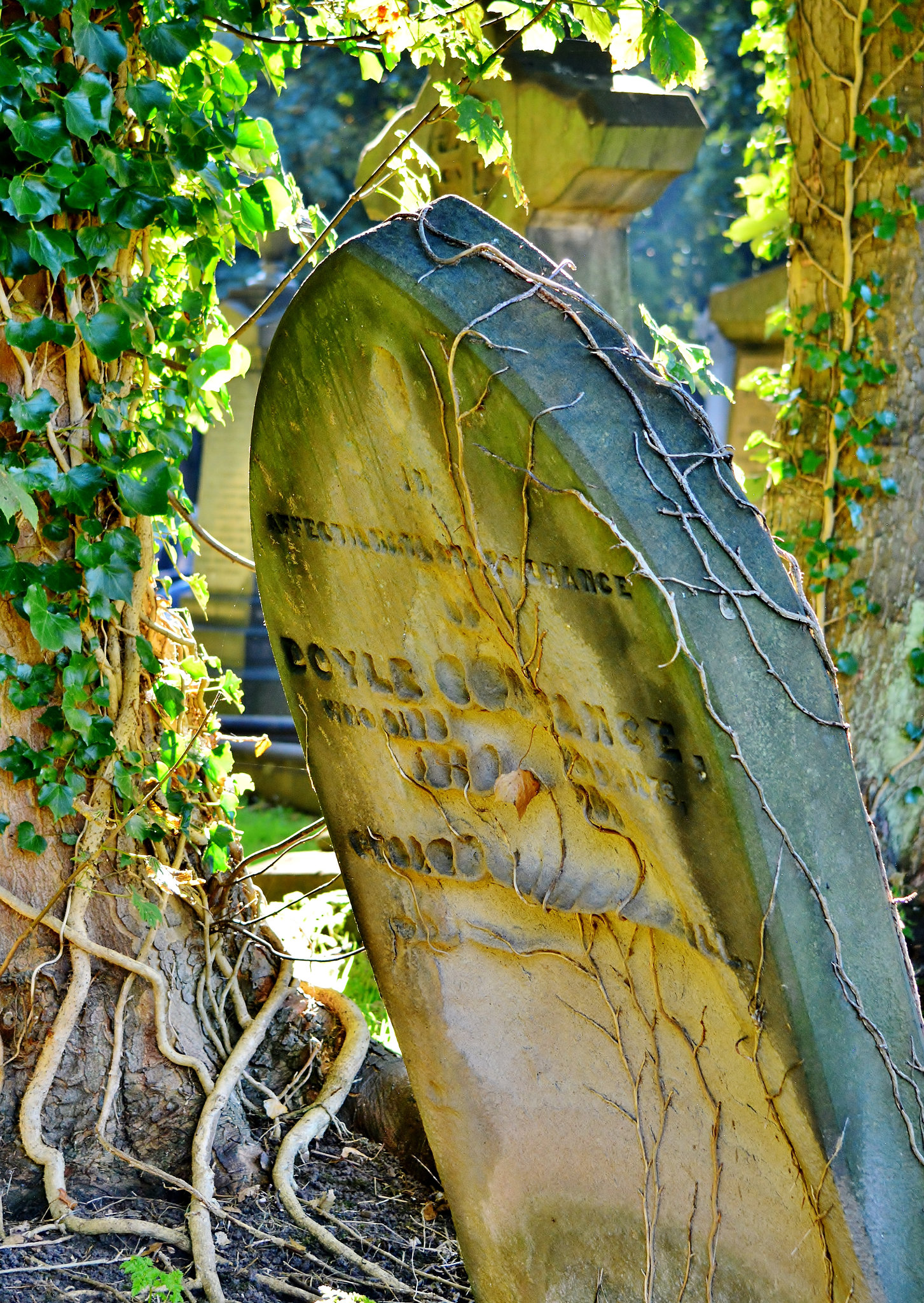 Overgrown.....Grave Invaders