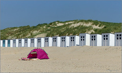 Pink at the beach on Texel...