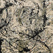 Detail of Number 28, 1950 by Jackson Pollock in the Metropolitan Museum of Art, January 2019