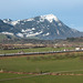BÖ0020428